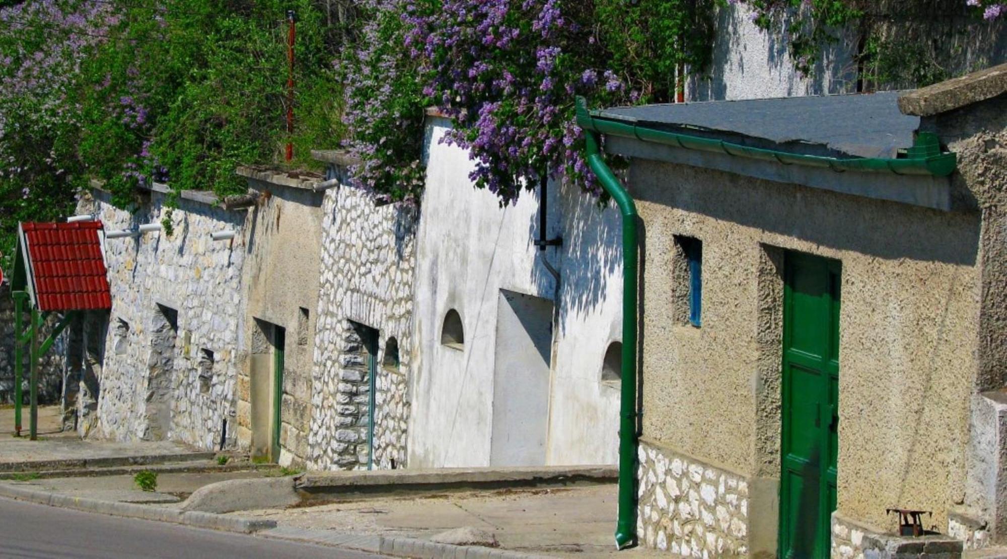 Fenyő Panzió Acomodação com café da manhã Mezőkövesd Exterior foto